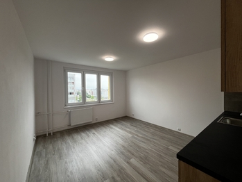 Pronájem bytu 1+kk v osobním vlastnictví 24 m², Plzeň
