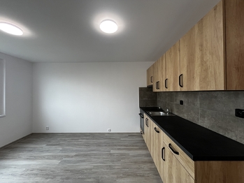 Pronájem bytu 1+kk v osobním vlastnictví 24 m², Plzeň