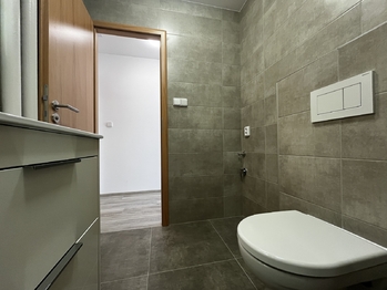 Pronájem bytu 1+kk v osobním vlastnictví 24 m², Plzeň