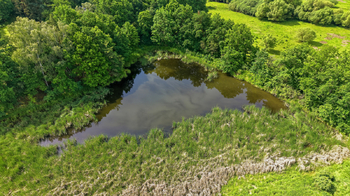 Prodej pozemku 19124 m², Horčápsko