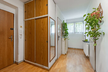 chodba - Pronájem bytu 3+1 v družstevním vlastnictví 82 m², Zeleneč