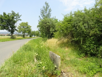Prodej pozemku 3871 m², Rožmitál pod Třemšínem