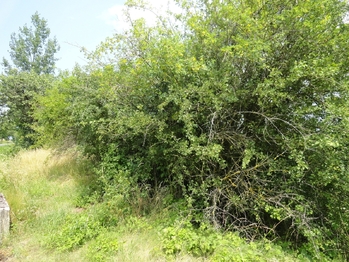 Prodej pozemku 3871 m², Rožmitál pod Třemšínem