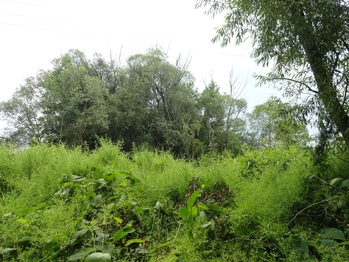 Prodej pozemku 3871 m², Rožmitál pod Třemšínem