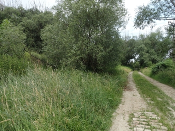 Prodej pozemku 3871 m², Rožmitál pod Třemšínem