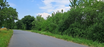 Prodej pozemku 3871 m², Rožmitál pod Třemšínem