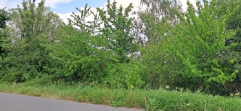 Prodej pozemku 3871 m², Rožmitál pod Třemšínem