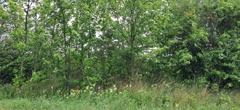 Prodej pozemku 3871 m², Rožmitál pod Třemšínem