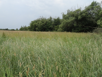 Prodej pozemku 1202 m², Rožmitál pod Třemšínem
