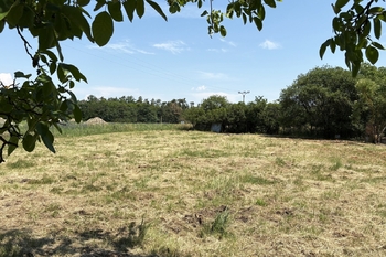 Prodej pozemku 1477 m², Krakovany