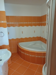 Prodej bytu 3+kk v osobním vlastnictví 85 m², Výprachtice