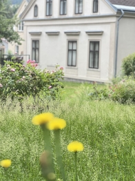 Prodej domu 150 m², Jablonec nad Nisou