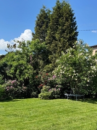 Prodej chaty / chalupy 120 m², Frýdek-Místek