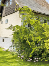 Prodej chaty / chalupy 120 m², Frýdek-Místek