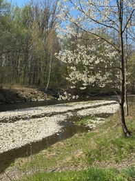 Prodej chaty / chalupy 120 m², Frýdek-Místek