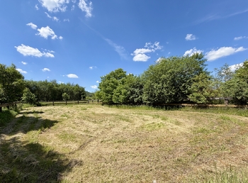 Prodej zemědělského objektu 421 m², Týnec nad Sázavou