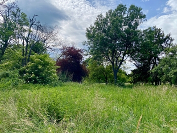 Prodej pozemku 2450 m², Honětice