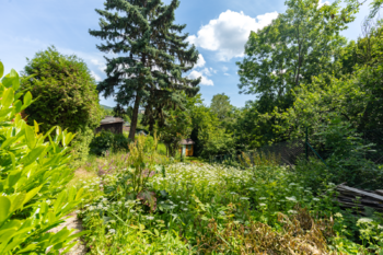 Prodej pozemku 276 m², Litvínov