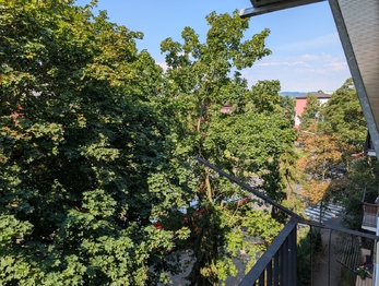 Prodej bytu 3+1 v osobním vlastnictví 66 m², Ústí nad Labem