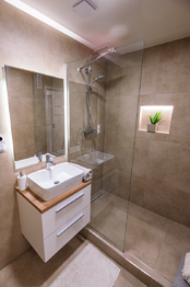 Pronájem bytu 3+kk v družstevním vlastnictví 62 m², Ostrava