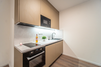 Pronájem bytu 1+kk v osobním vlastnictví 43 m², Praha 10 - Hostivař