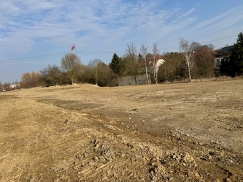 Velký pozemek na pronájem - Pronájem pozemku 4925 m², Říčany