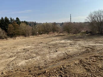 Velký pozemek na pronájem - Pronájem pozemku 4925 m², Říčany