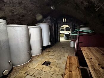 Prodej vinného sklepa 49 m², Novosedly
