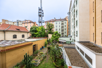 Pronájem bytu 2+1 v osobním vlastnictví 67 m², Praha 3 - Žižkov