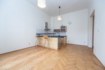 Pronájem bytu 2+1 v osobním vlastnictví 67 m², Praha 3 - Žižkov