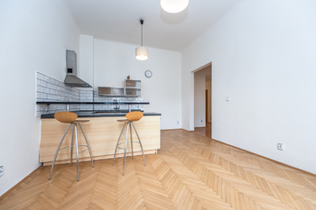 Pronájem bytu 2+1 v osobním vlastnictví 67 m², Praha 3 - Žižkov