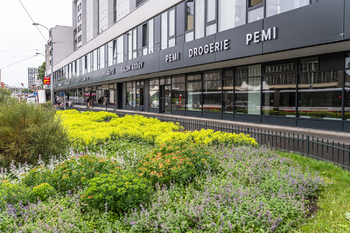 Pronájem bytu 2+1 v osobním vlastnictví 67 m², Praha 3 - Žižkov