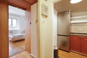 Pohled od dveří - Prodej bytu 2+1 v osobním vlastnictví 43 m², Praha 4 - Nusle