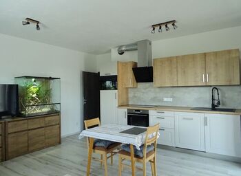 Pronájem bytu 2+kk v osobním vlastnictví 53 m², Plzeň