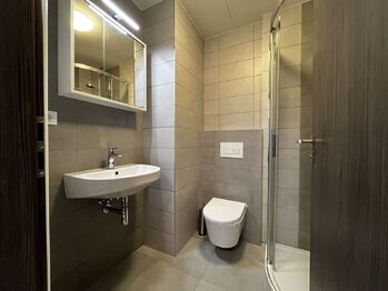 Pronájem bytu 2+kk v osobním vlastnictví 53 m², Plzeň
