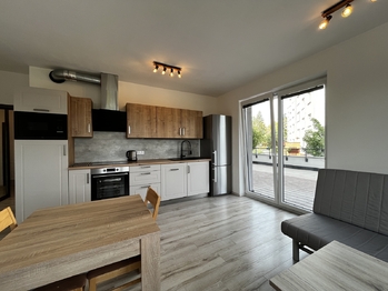 Pronájem bytu 2+kk v osobním vlastnictví 53 m², Plzeň