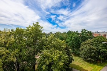 Pohled z lodžie - Prodej bytu 1+kk v osobním vlastnictví 27 m², Pardubice