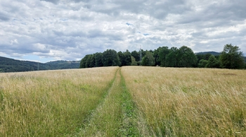Prodej pozemku 26680 m², Písečná