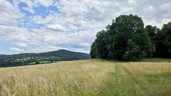 Prodej pozemku 26680 m², Písečná