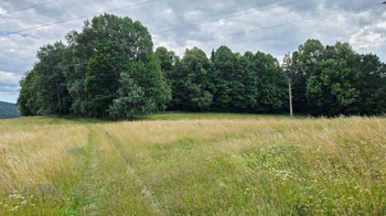 Prodej pozemku 26680 m², Písečná