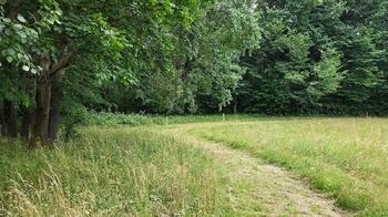 Prodej pozemku 26680 m², Písečná
