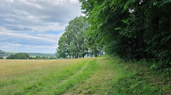 Prodej pozemku 26680 m², Písečná