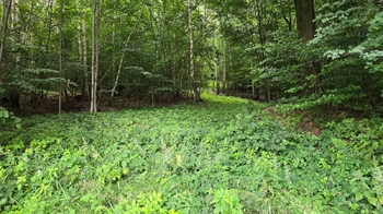 Prodej pozemku 26680 m², Písečná