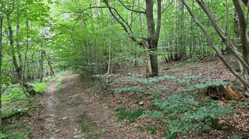Prodej pozemku 26680 m², Písečná