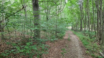Prodej pozemku 26680 m², Písečná
