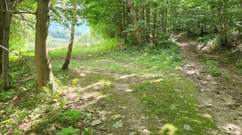 Prodej pozemku 26680 m², Písečná