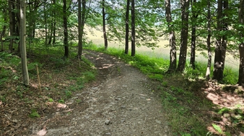 Prodej pozemku 26680 m², Písečná
