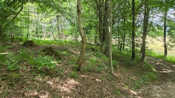 Prodej pozemku 26680 m², Písečná