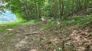 Prodej pozemku 26680 m², Písečná
