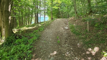 Prodej pozemku 26680 m², Písečná